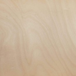 Venatura e colore betulla