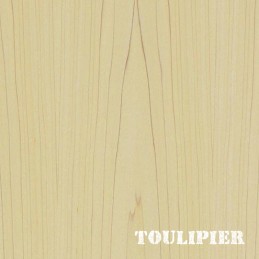 Venatura e colore legno di Toulipier