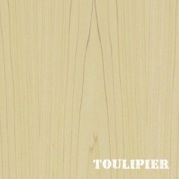 Venatura e colore legno di Toulipier