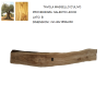 Tavola massello in legno d'ulivo lato B